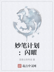 妙笔计划:闪曜