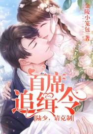 首席追缉令:陆少,请克制
