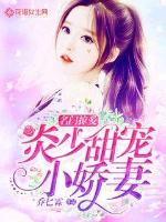 名门掠爱:炎少甜宠小娇妻